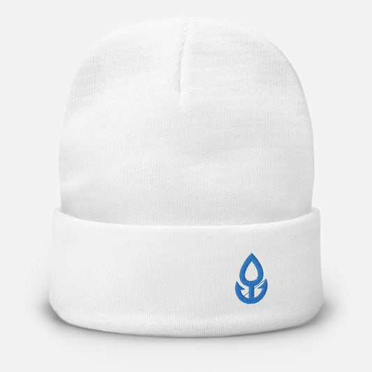 Blue Icon Embroidered Beanie