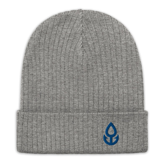 Blue Icon Recycled Cuffed Beanie (Small Logo)